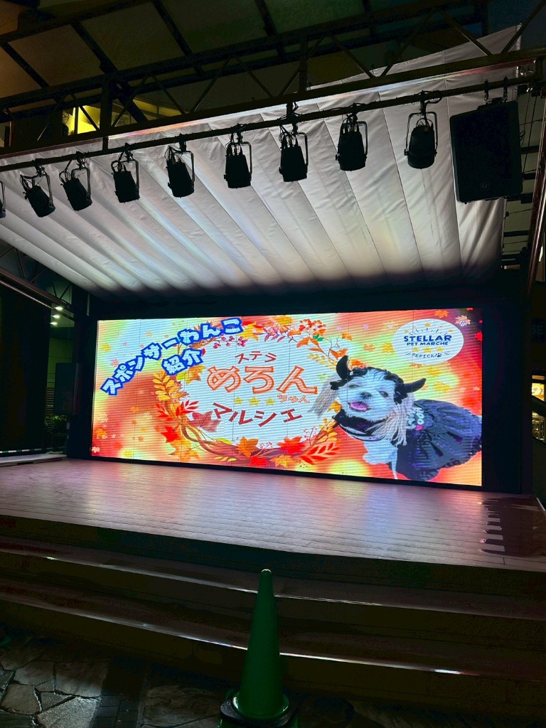 ステラモールステージ